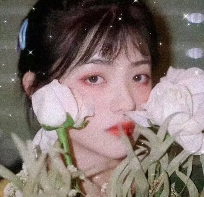 纳尤古传奇
